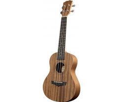 Arrow MH10 Mahogany Concert  - Ukulele koncertowe z pokrowcem