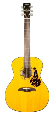 Framus FR FG 14 SV YW - Gitara akustyczna