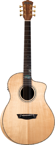 Washburn BTS C56 SCE (N) - Gitara elektroakustyczna