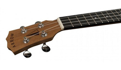 Arrow MH10 Mahogany Concert - Ukulele koncertowe z pokrowcem