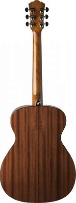 Washburn AF 5 (N) - Gitara akustyczna