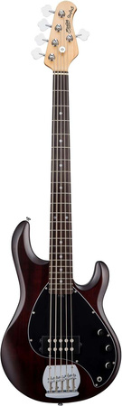 Sterling RAY 5 (WS) - Gitara basowa