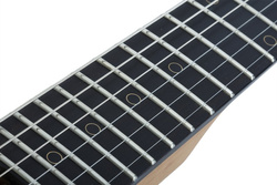 Schecter NICK JOHNSTON DS HSS Traditional Atomic Snow - Gitara elektryczna