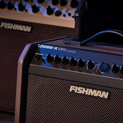 Fishman Loudbox Mini Charge - Wzmacniacz akustyczny (PRO-LBC-500)